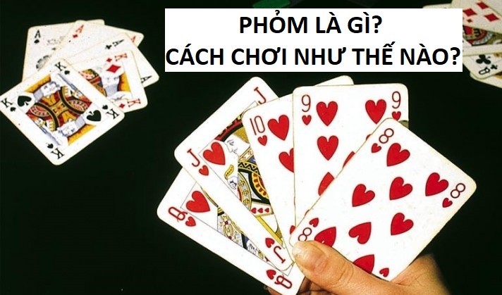 Bai Phom La Gi