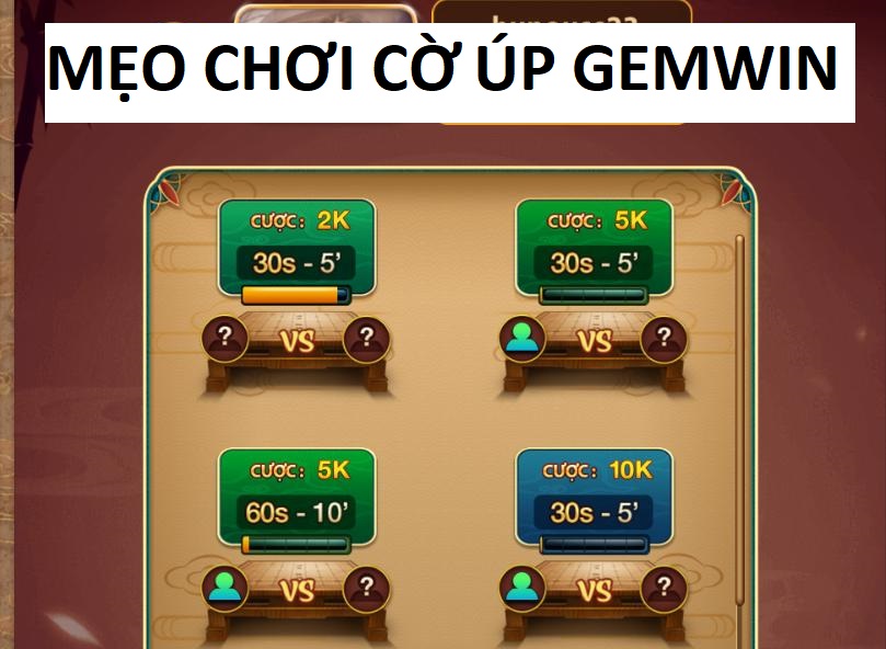 Meo Choi Co Up Gemwin